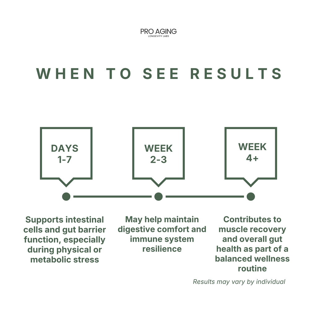 L-Glutamine Powder – Gut & Muscle Recovery