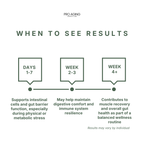 L-Glutamine Powder – Gut & Muscle Recovery