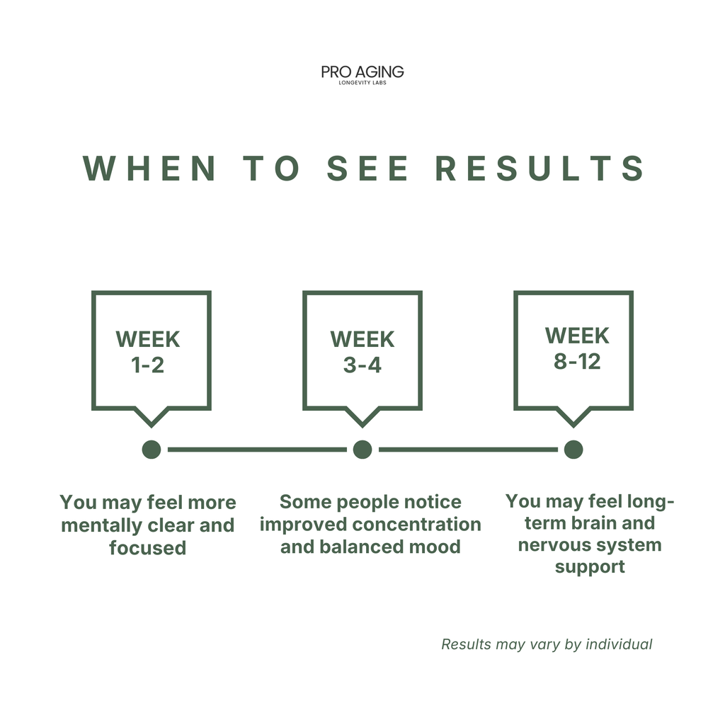 Lion’s Mane – Focus & Cognitive Support