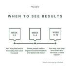 Lion’s Mane – Focus & Cognitive Support