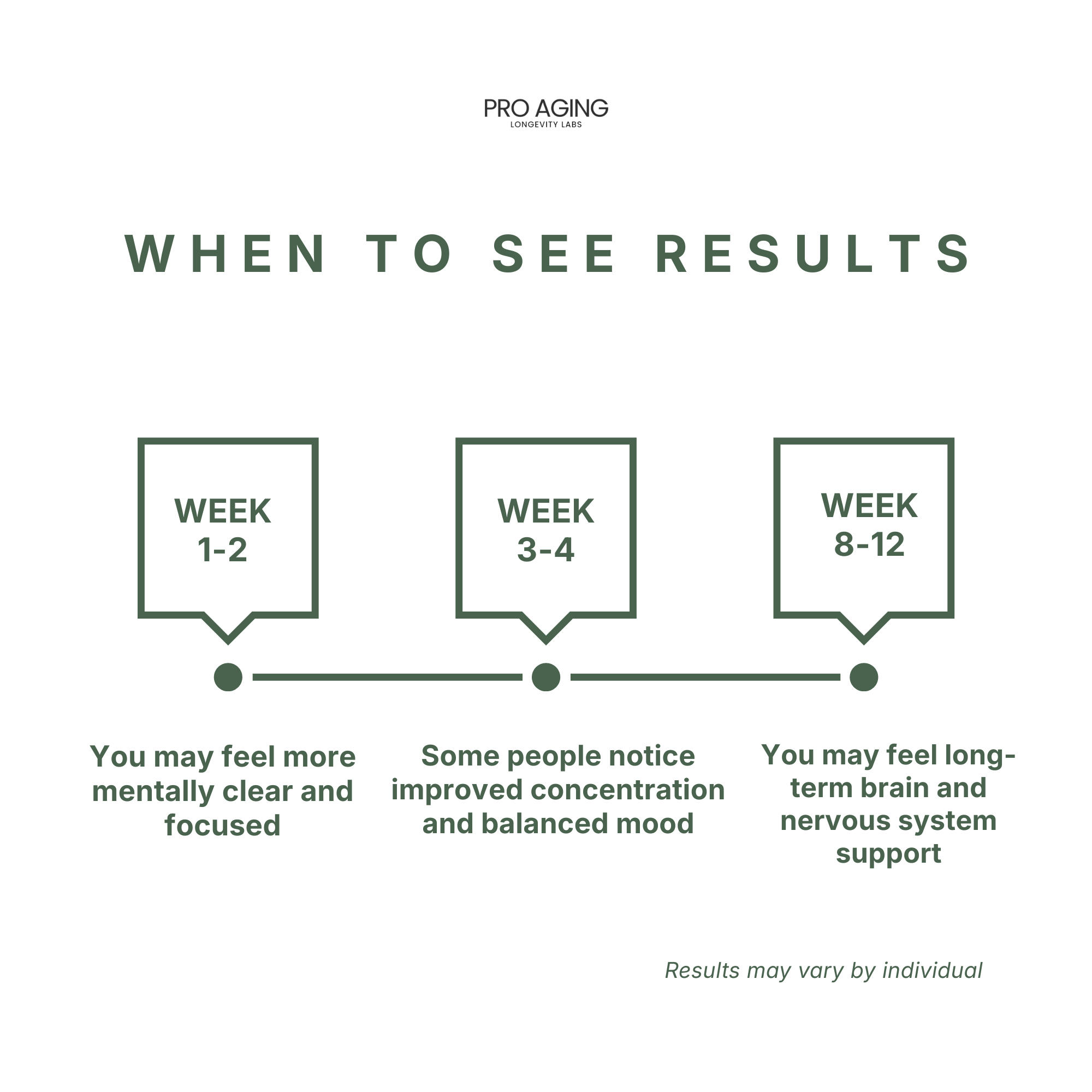 Lion’s Mane – Focus & Cognitive Support