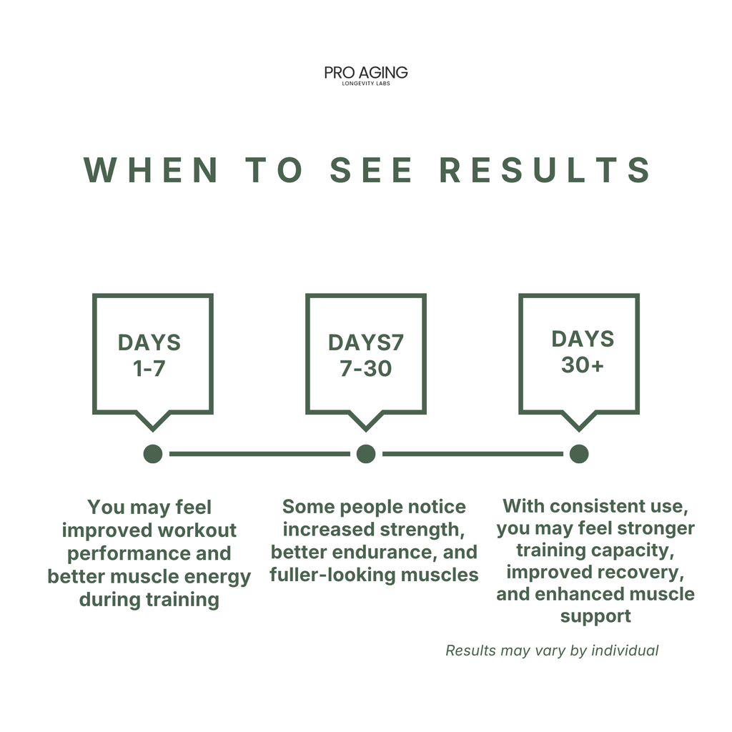 Creatine Monohydrate – Strength & Performance