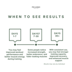 Creatine Monohydrate – Strength & Performance