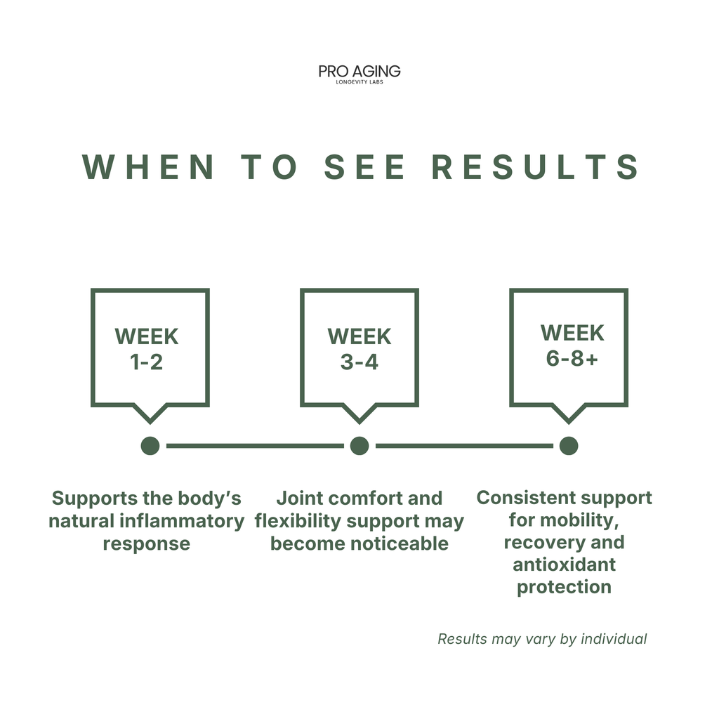 Turmeric Complex – Joint & Inflammation Support