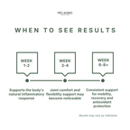 Turmeric Complex – Joint & Inflammation Support